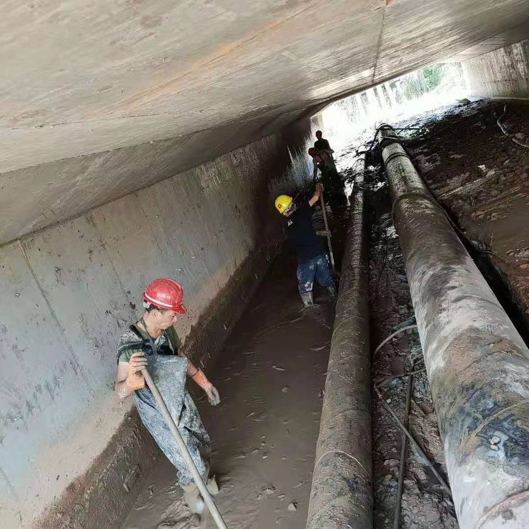 浩口原种场工业管道清淤